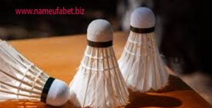 Bola Badminton Dengan Bulu Angsa