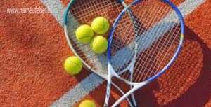 Tenis Lapangan Permainan Bola