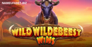 Wild Wildebeest Wins